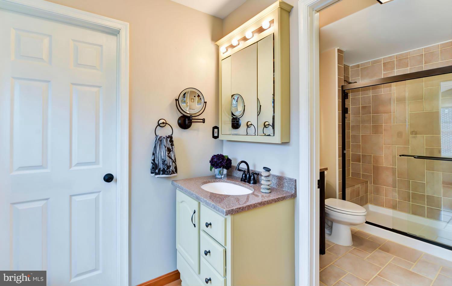 6324 Halsey Road McLean, VA 22101 - Photo 19 of 30 Bath (Master)