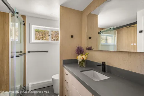 a bathroom with a sink toilet and shower