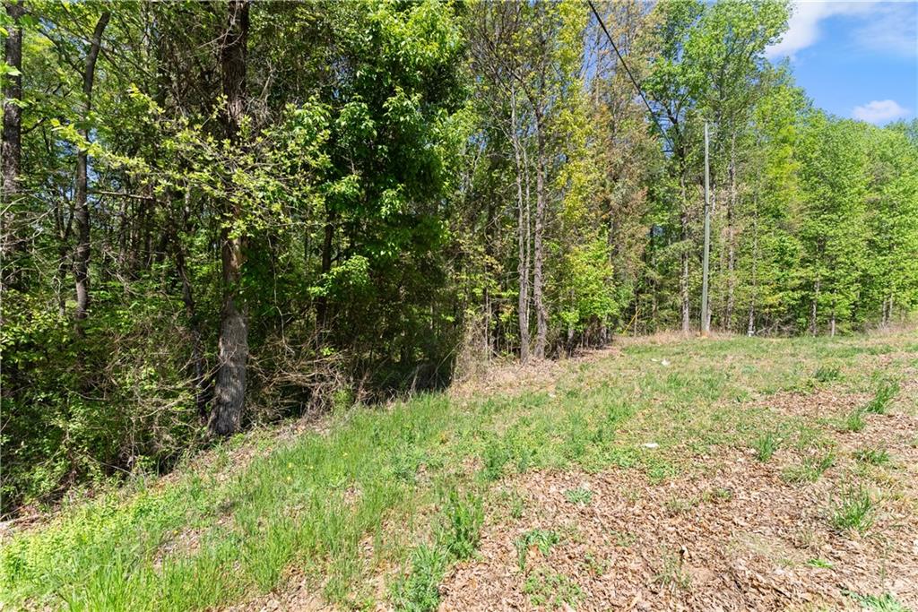 4342 Woods Bridge Road Commerce, GA 30529 - Photo 17 of 24