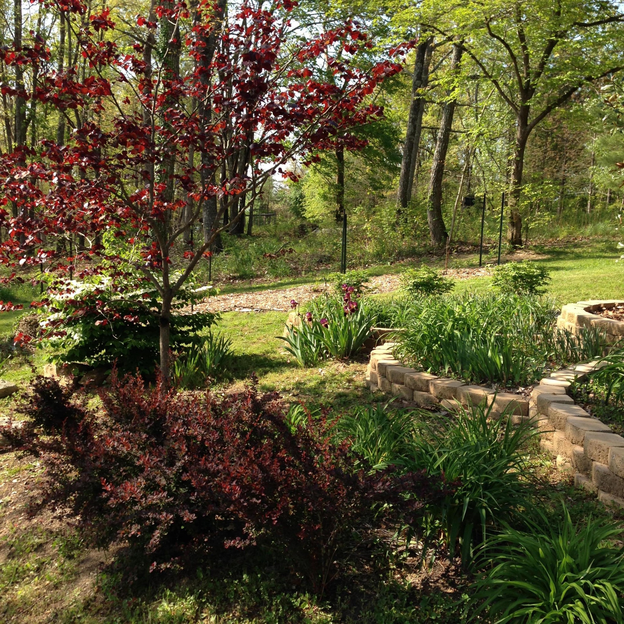 34 Pine Grove Road Crossville, TN 38571 - Photo 24 of 37 Gallery Image 24