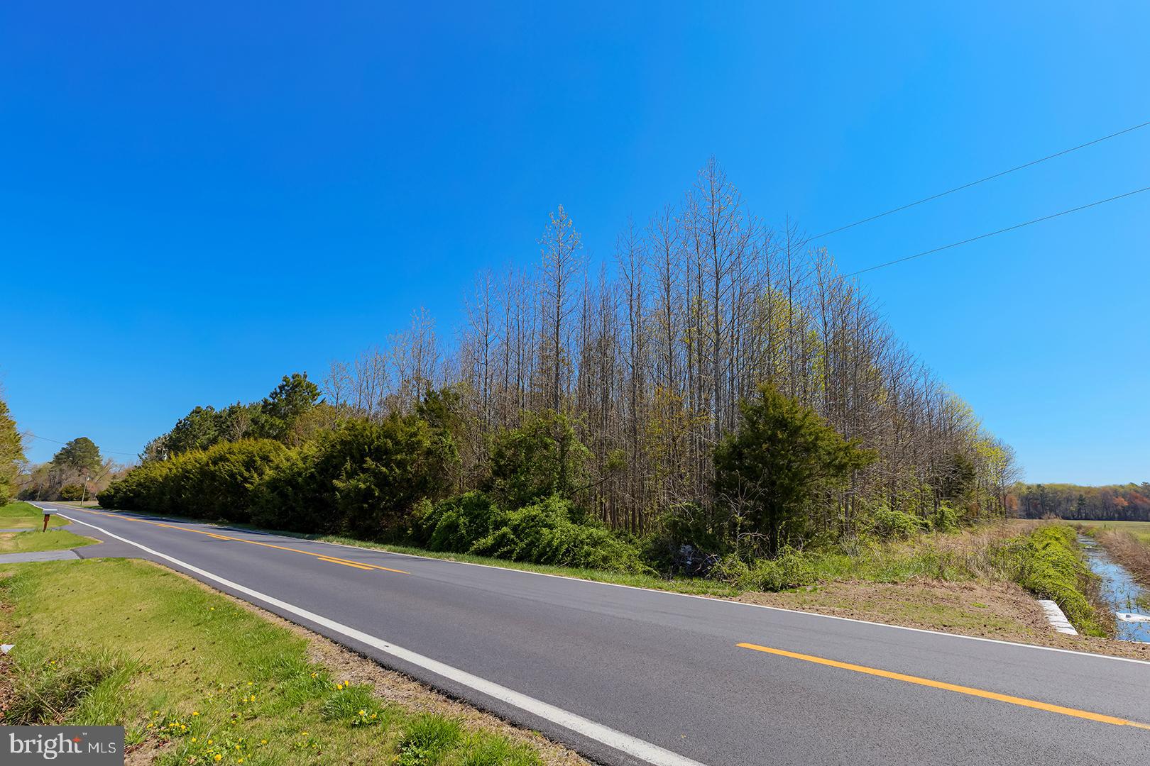 East Trap Pond Road Georgetown, DE 19947 - Photo 2 of 14 a view of a yard with potted plants and large tree