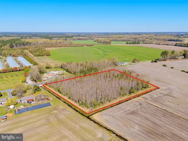 a view of a swimming pool with a terrace