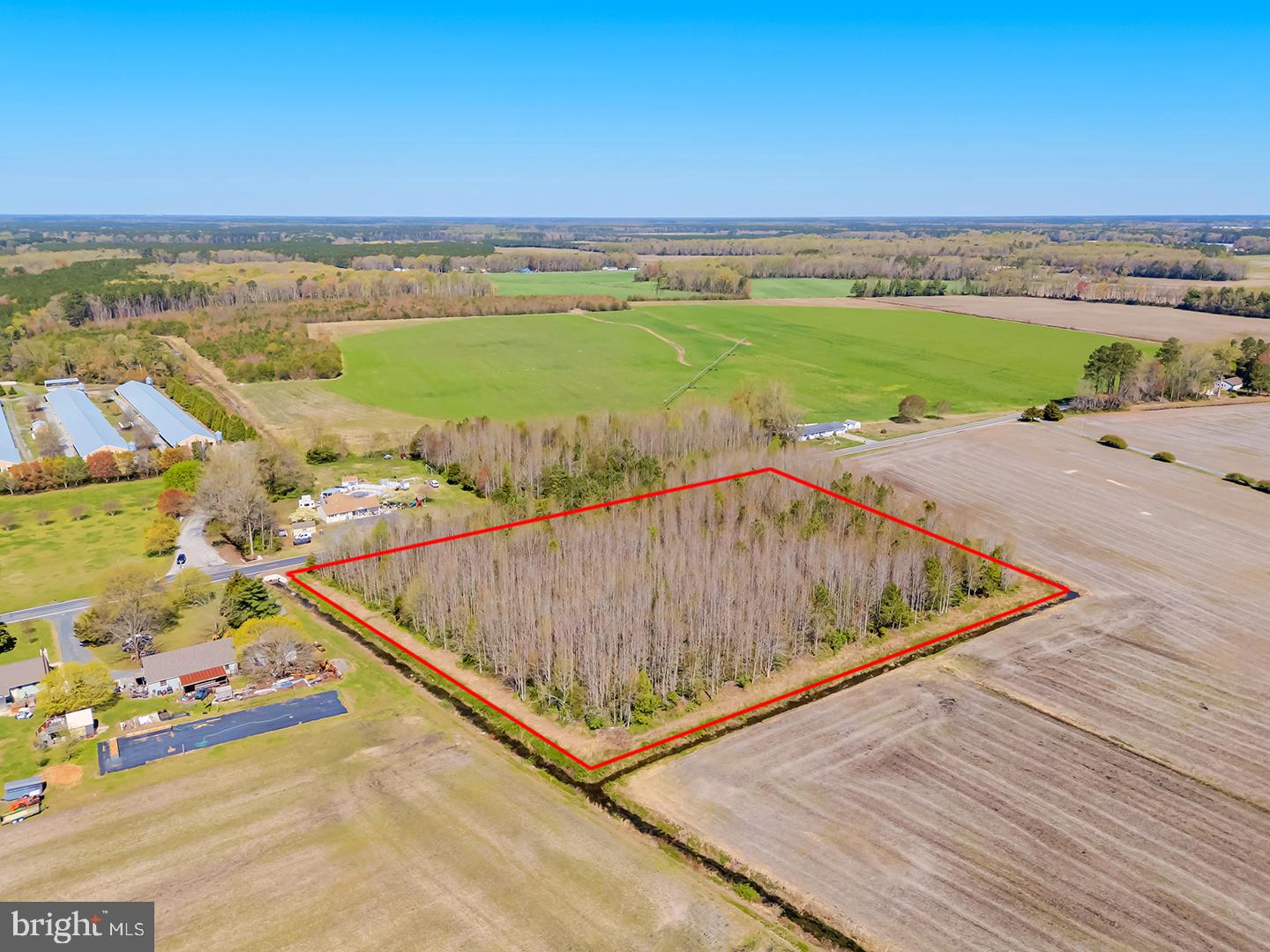 East Trap Pond Road Georgetown, DE 19947 - Photo 6 of 14 a view of a swimming pool with a terrace