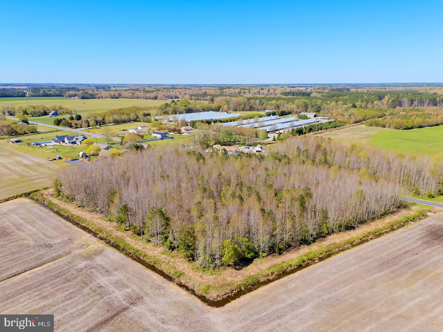 East Trap Pond Road Georgetown, DE 19947 - Photo 8 of 14