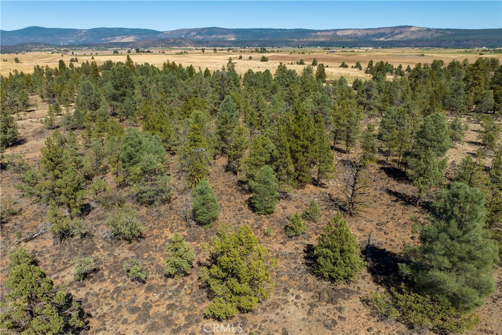 0 Old Hwy Road Fall River Mills, CA 96028 - Photo 12 of 14 a view of a lake with a mountain in the background