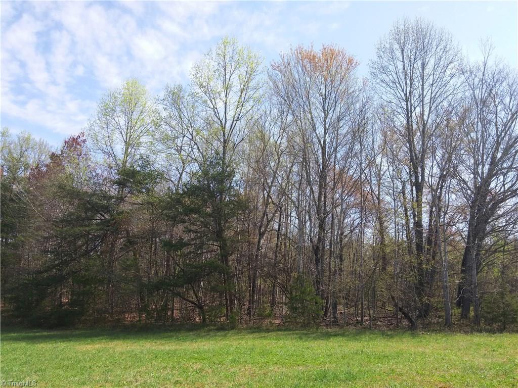 0 Byrd Road Elkin, NC 28621 - Photo 5 of 7 Gallery Image 5