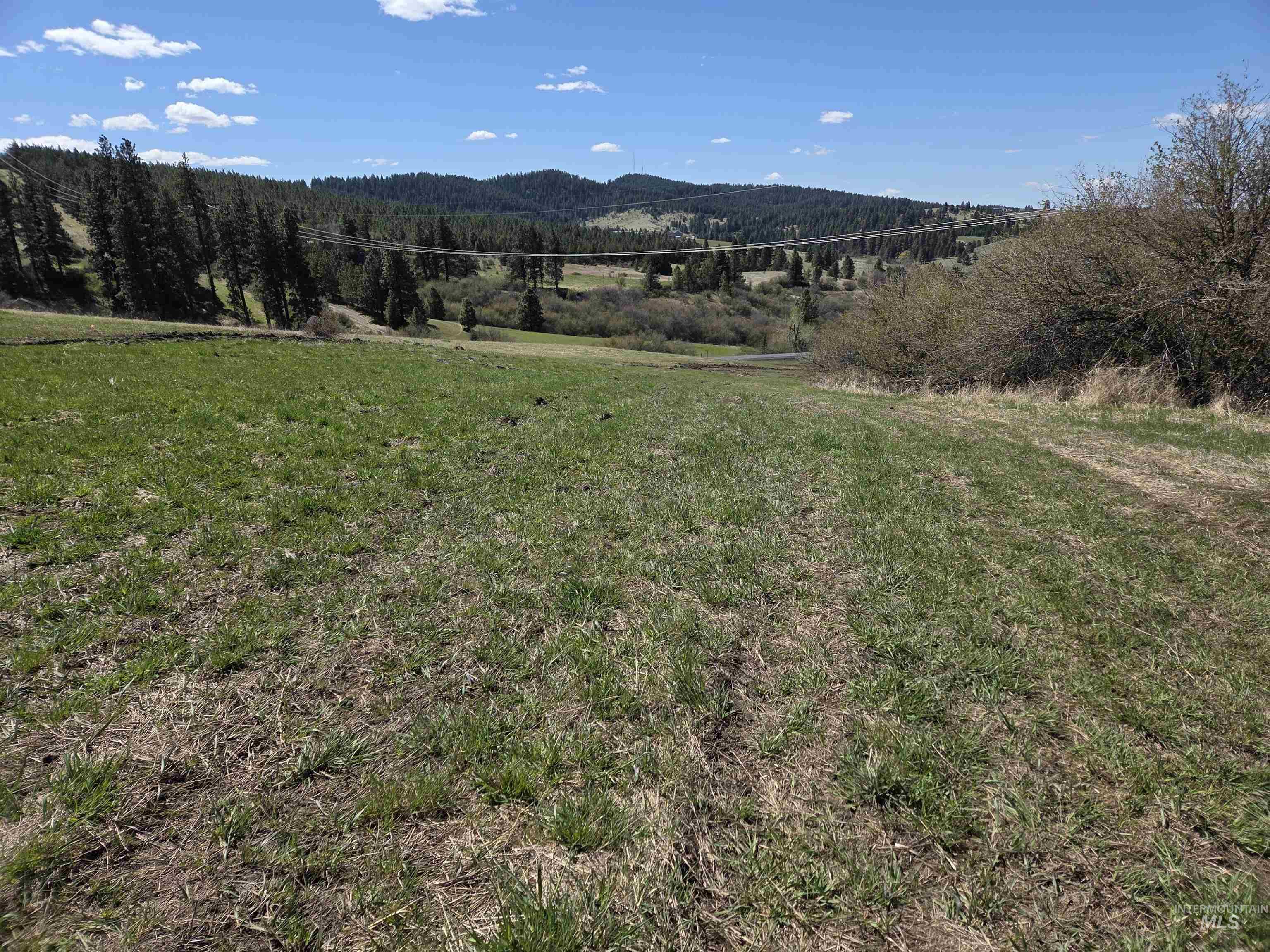 Tbd Tbd Lenville Road Moscow, ID 83843 - Photo 12 of 39