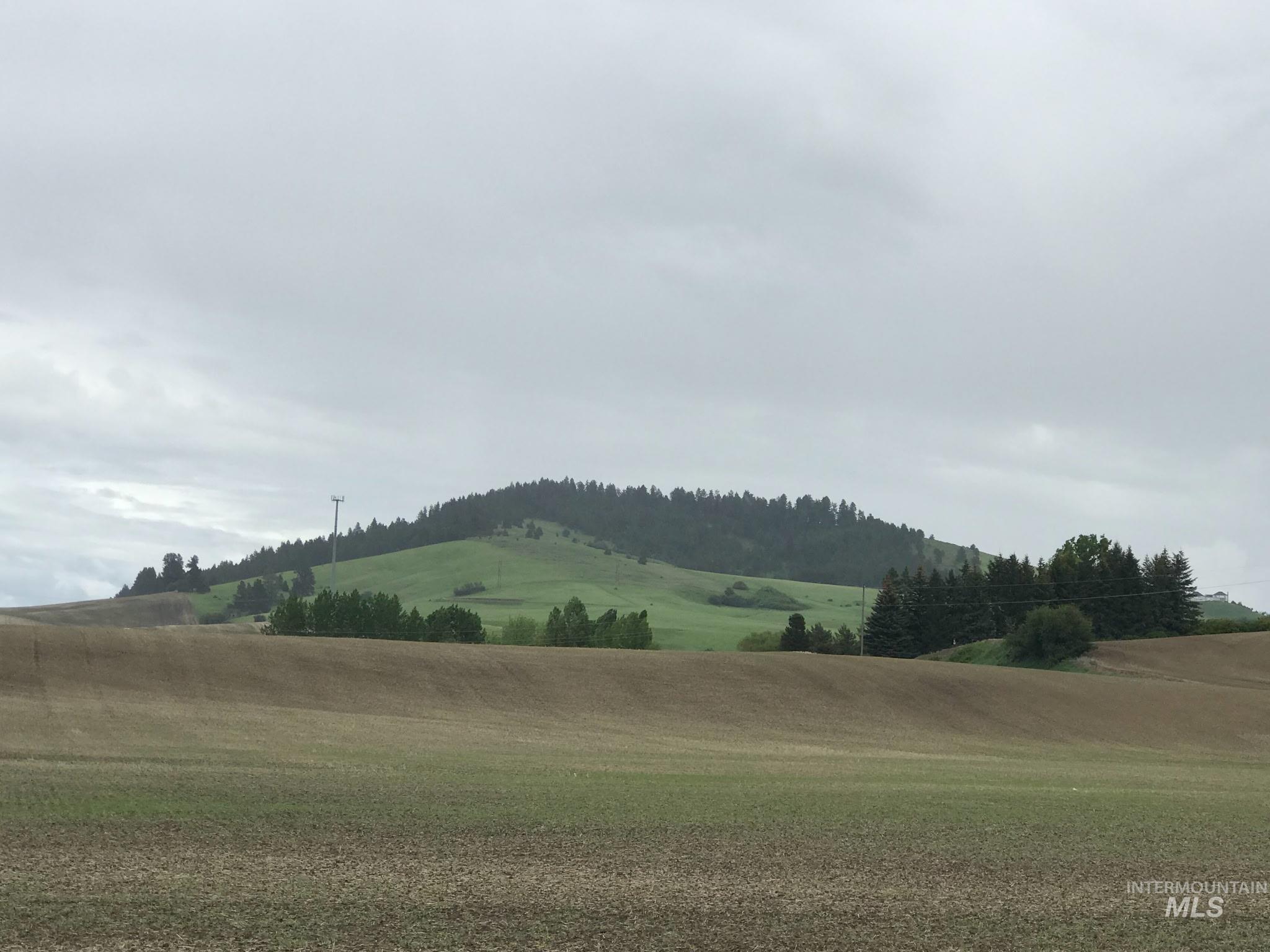 Tbd Tbd Lenville Road Moscow, ID 83843 - Photo 13 of 39