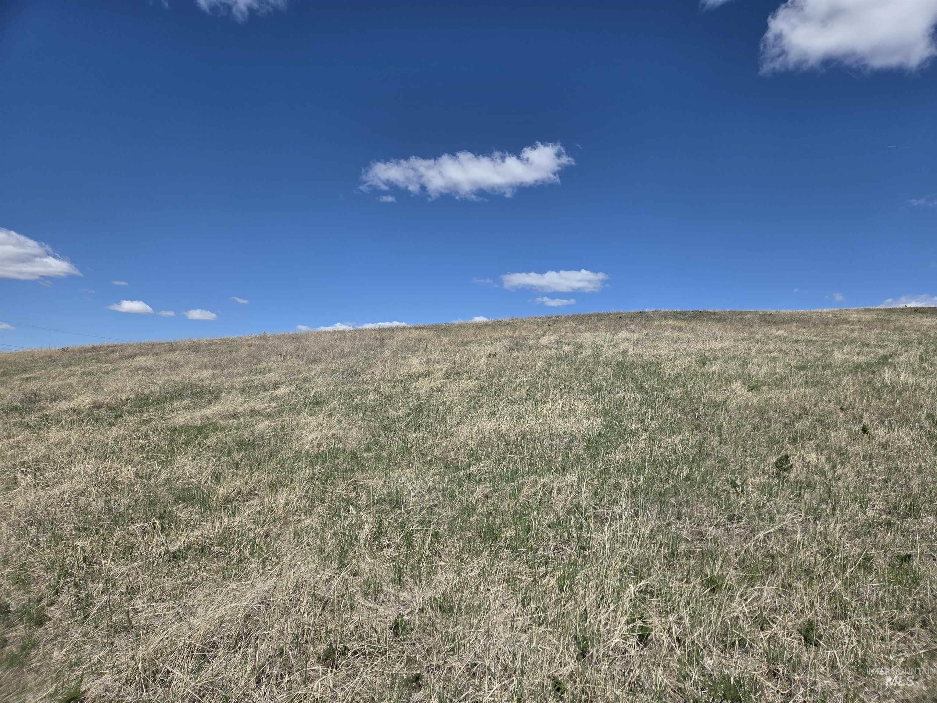 Tbd Tbd Lenville Road Moscow, ID 83843 - Photo 17 of 39