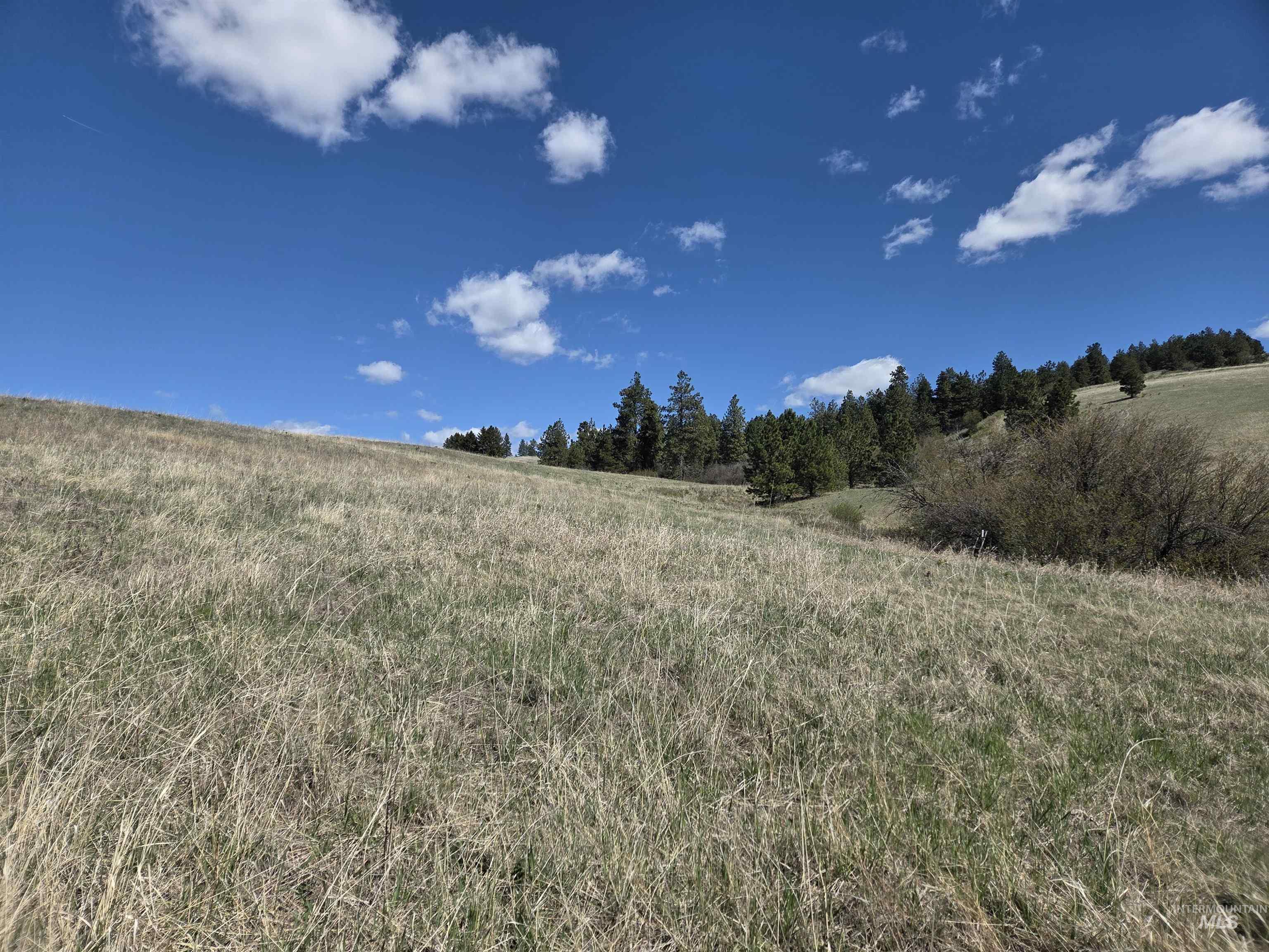 Tbd Tbd Lenville Road Moscow, ID 83843 - Photo 18 of 39