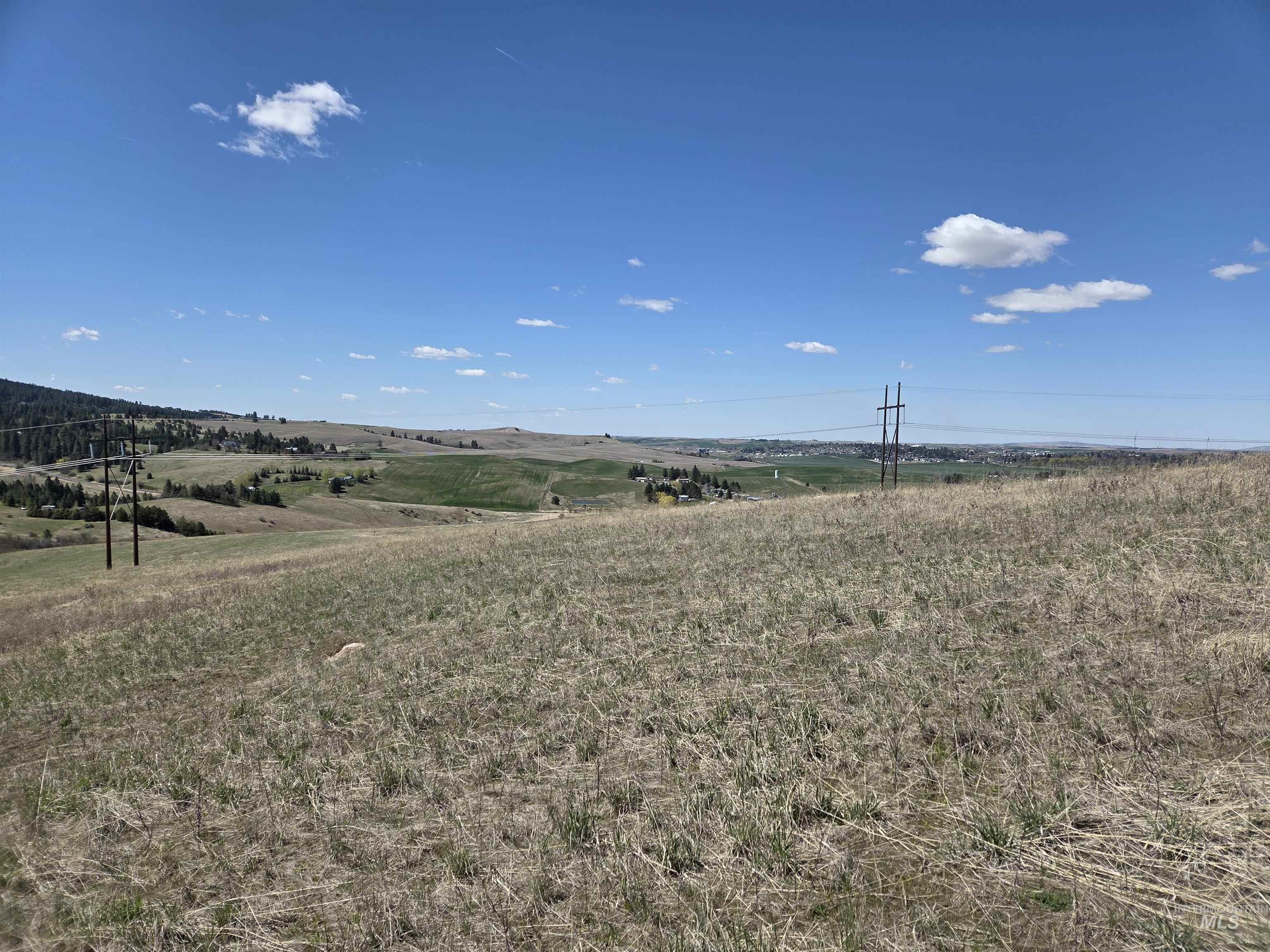 Tbd Tbd Lenville Road Moscow, ID 83843 - Photo 19 of 39