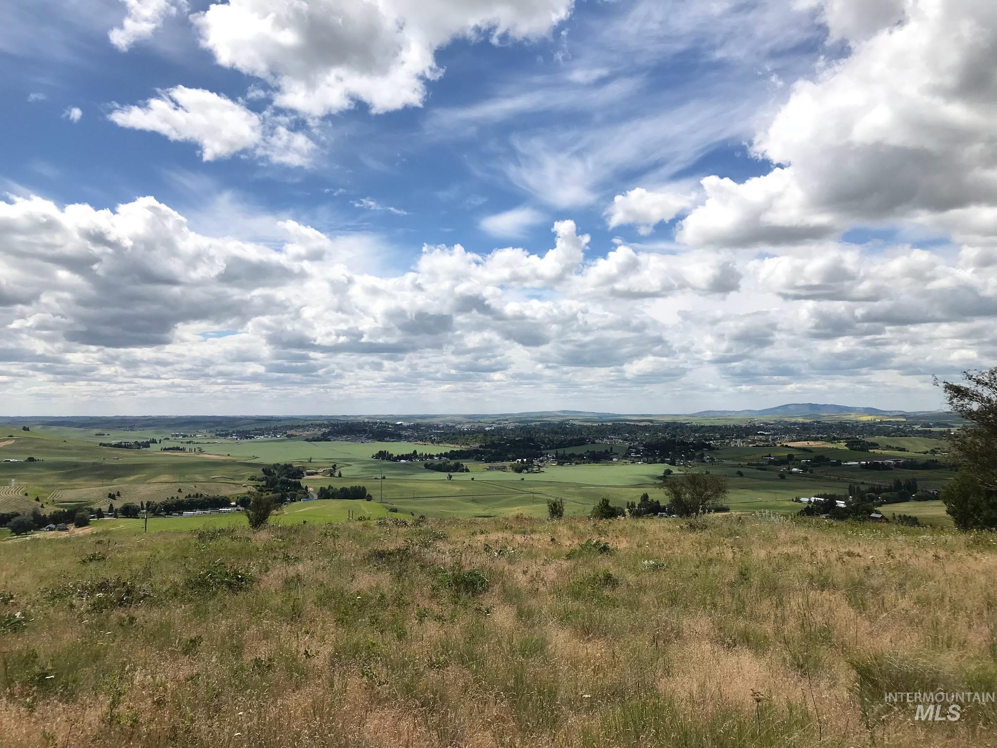Tbd Tbd Lenville Road Moscow, ID 83843 - Photo 2 of 39