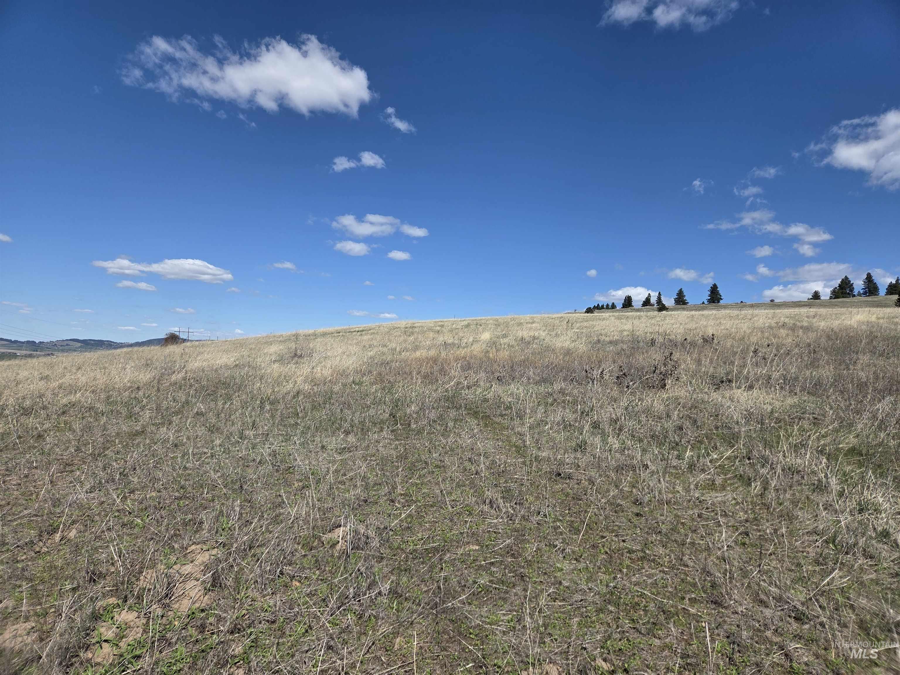 Tbd Tbd Lenville Road Moscow, ID 83843 - Photo 21 of 39