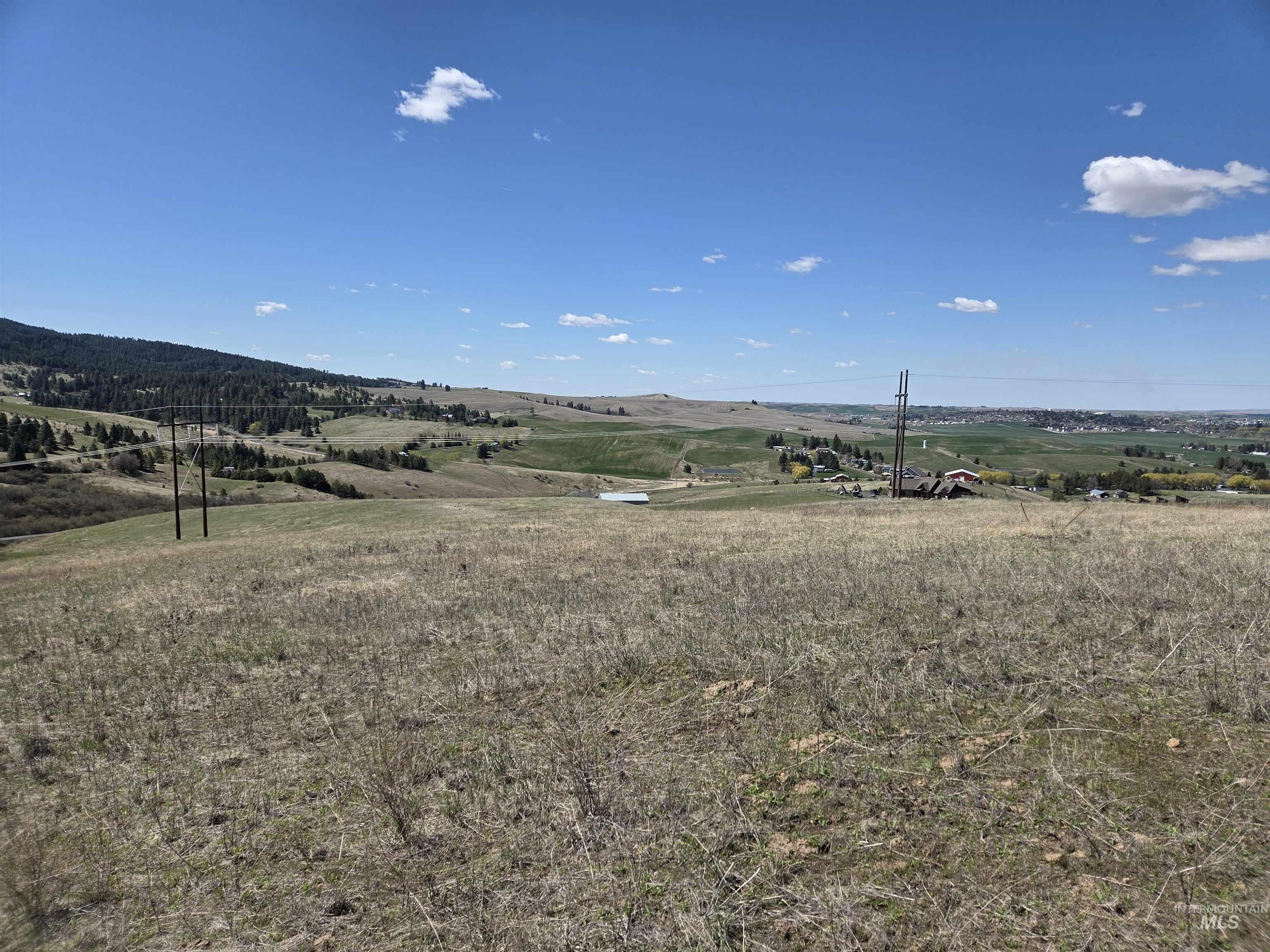 Tbd Tbd Lenville Road Moscow, ID 83843 - Photo 23 of 39