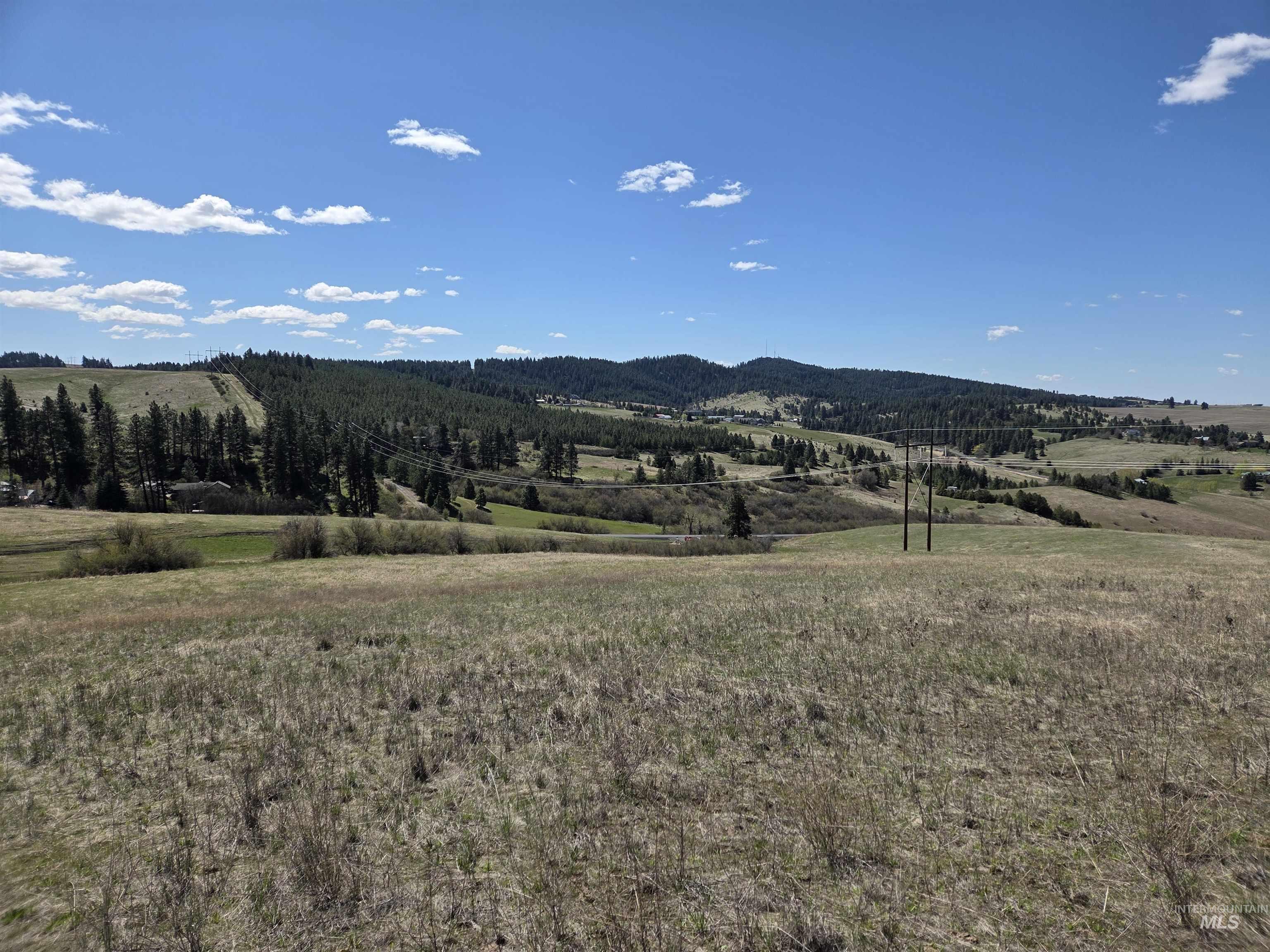 Tbd Tbd Lenville Road Moscow, ID 83843 - Photo 24 of 39