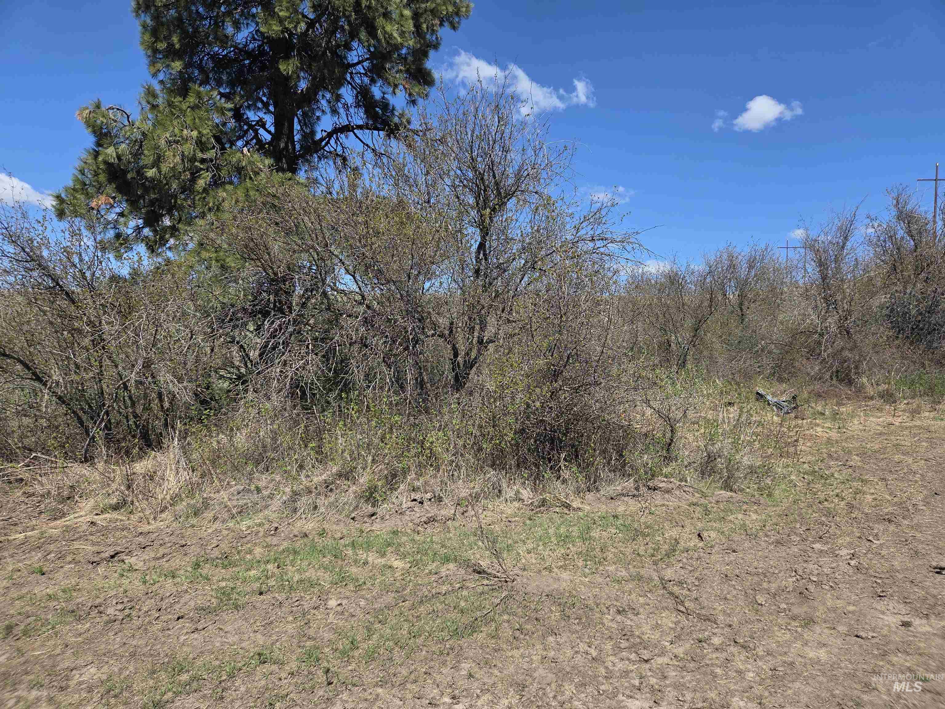 Tbd Tbd Lenville Road Moscow, ID 83843 - Photo 25 of 39