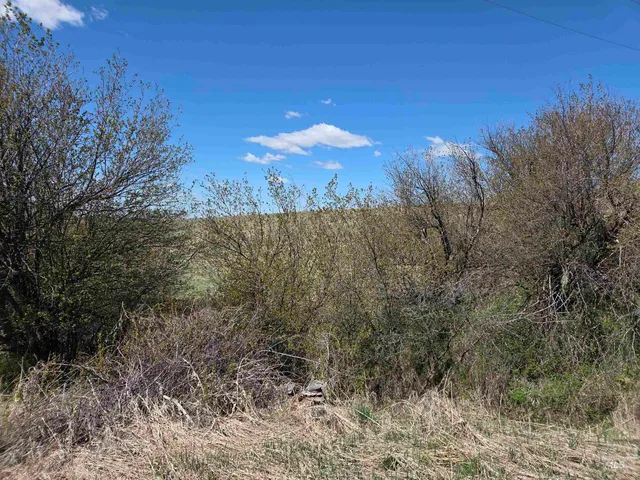 $500,000 | Tbd Tbd Lenville Road, Moscow, ID 83843