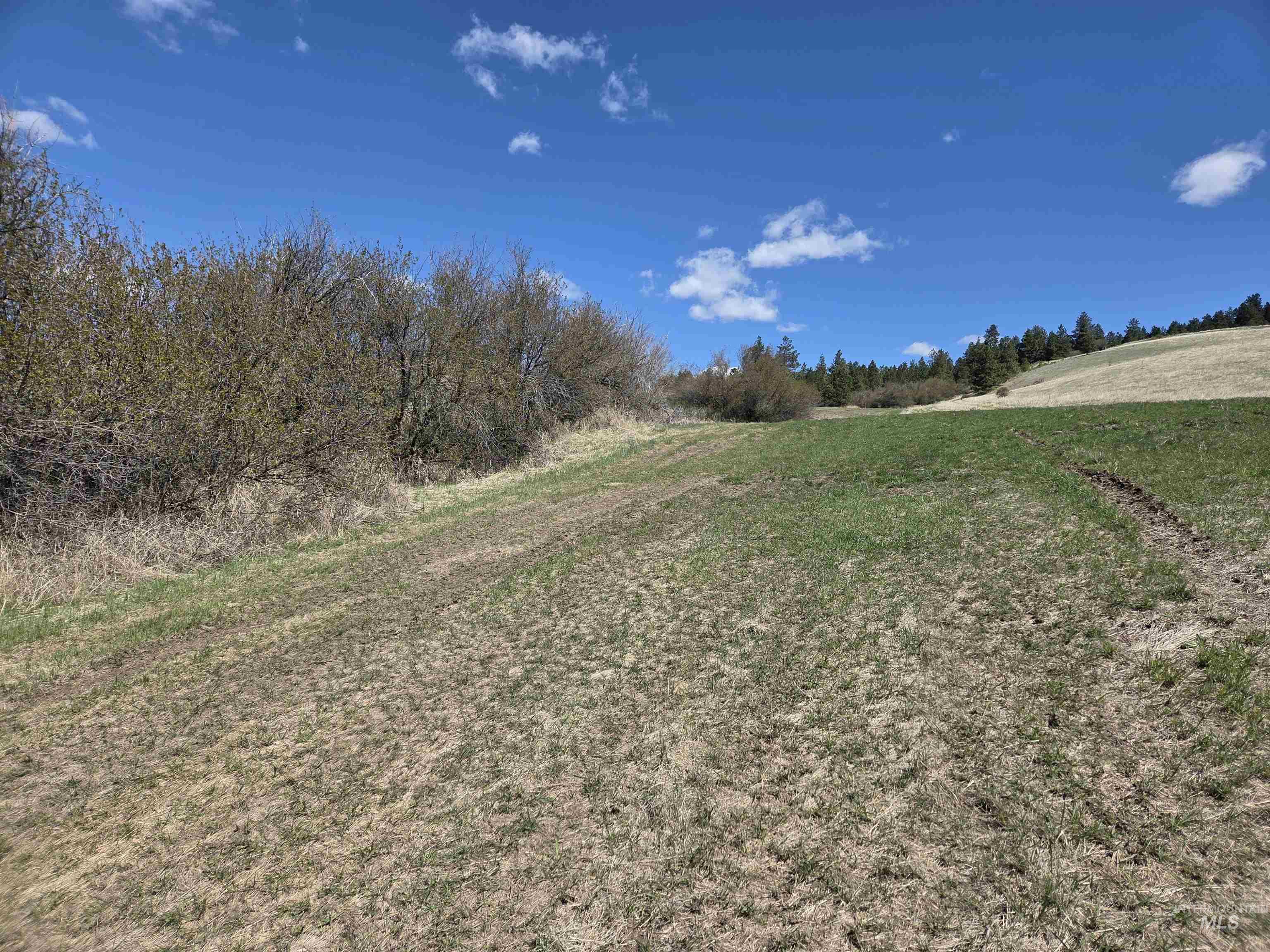 Tbd Tbd Lenville Road Moscow, ID 83843 - Photo 28 of 39