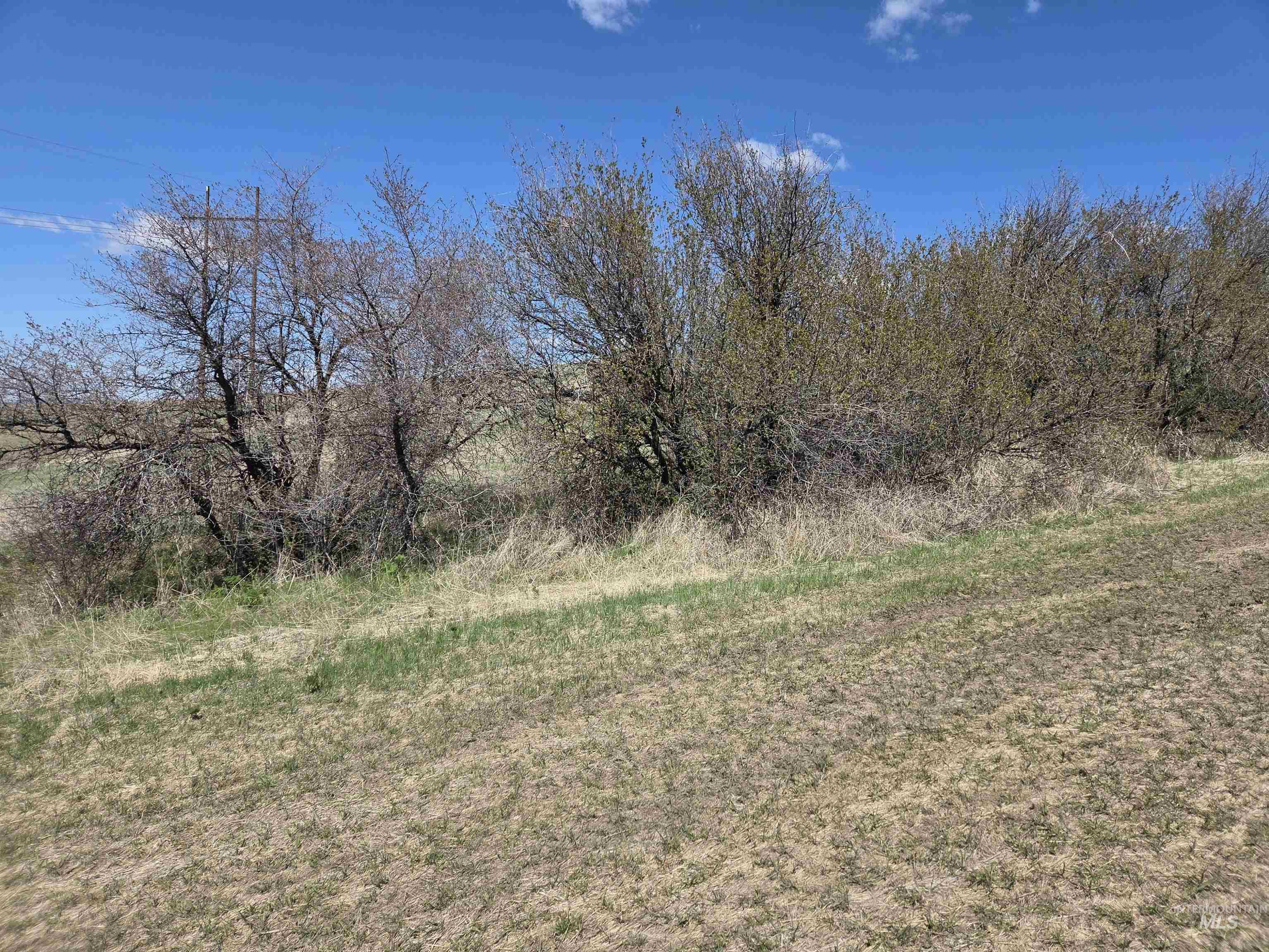 Tbd Tbd Lenville Road Moscow, ID 83843 - Photo 29 of 39