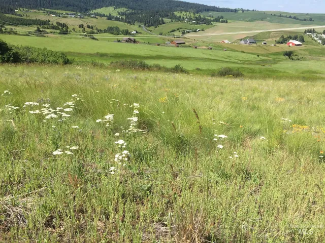$500,000 | Tbd Tbd Lenville Road, Moscow, ID 83843