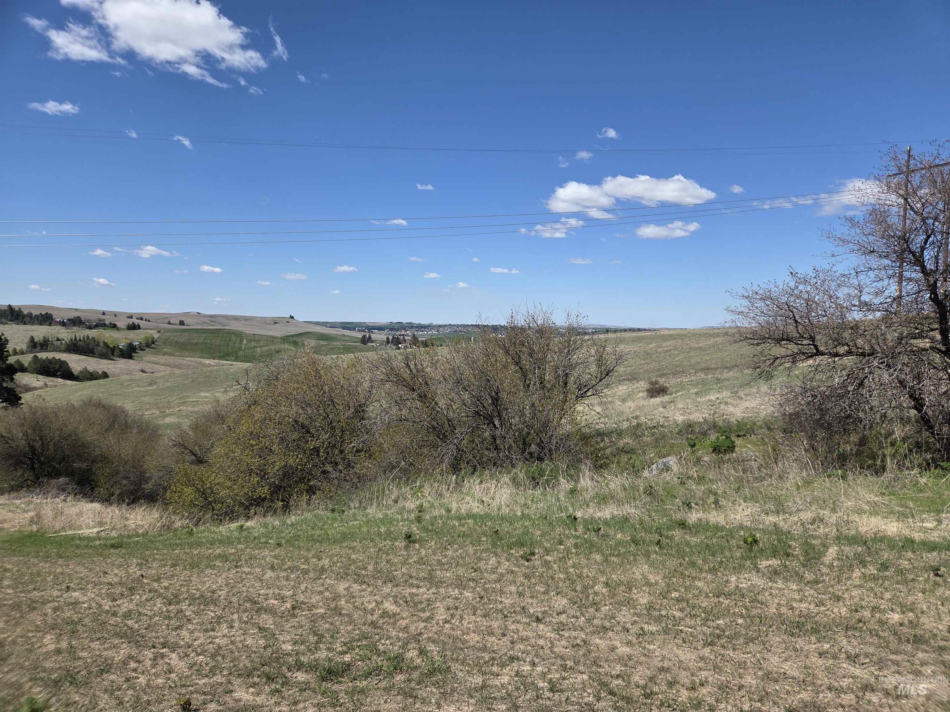 Tbd Tbd Lenville Road Moscow, ID 83843 - Photo 31 of 39