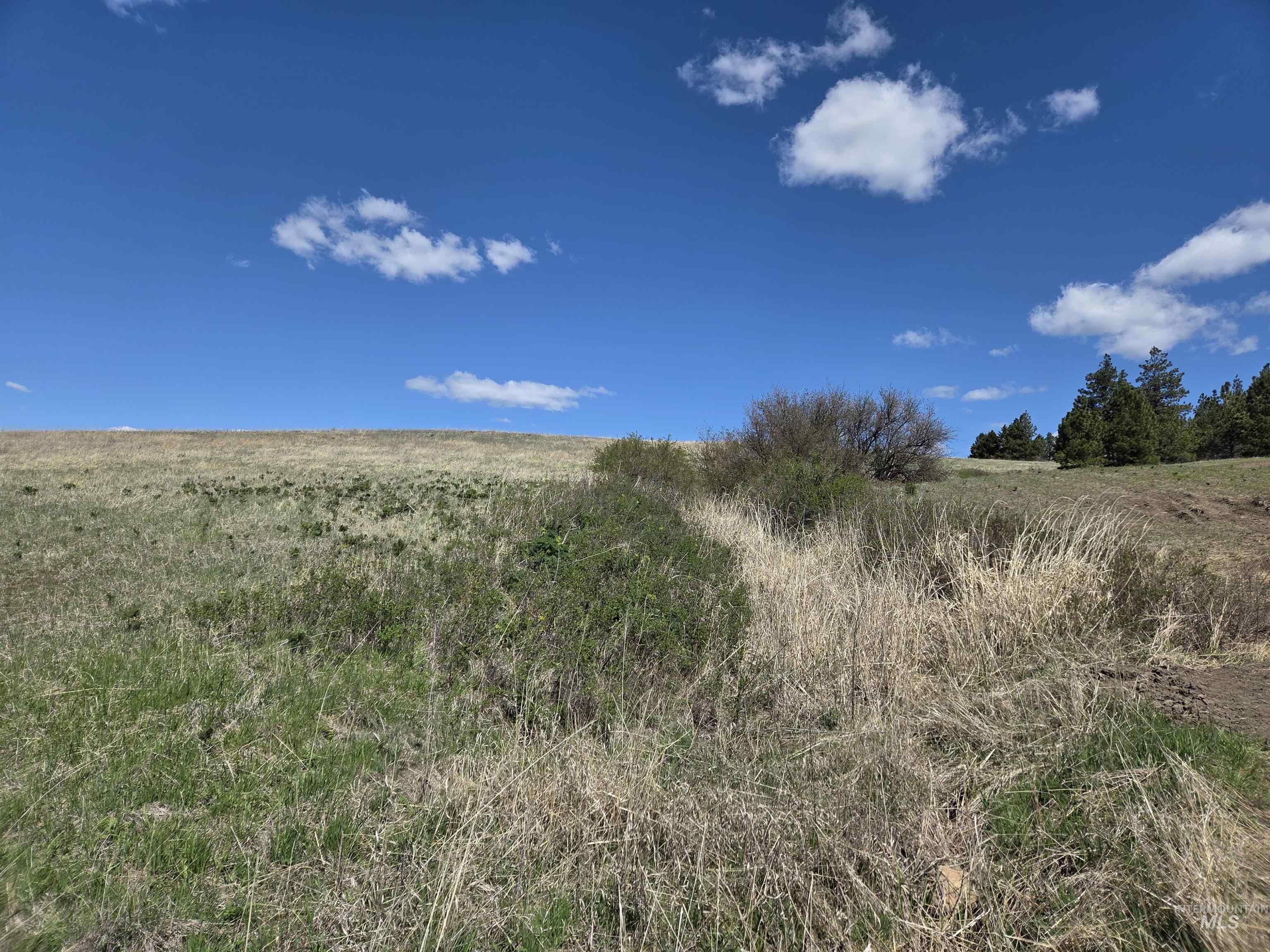 Tbd Tbd Lenville Road Moscow, ID 83843 - Photo 32 of 39