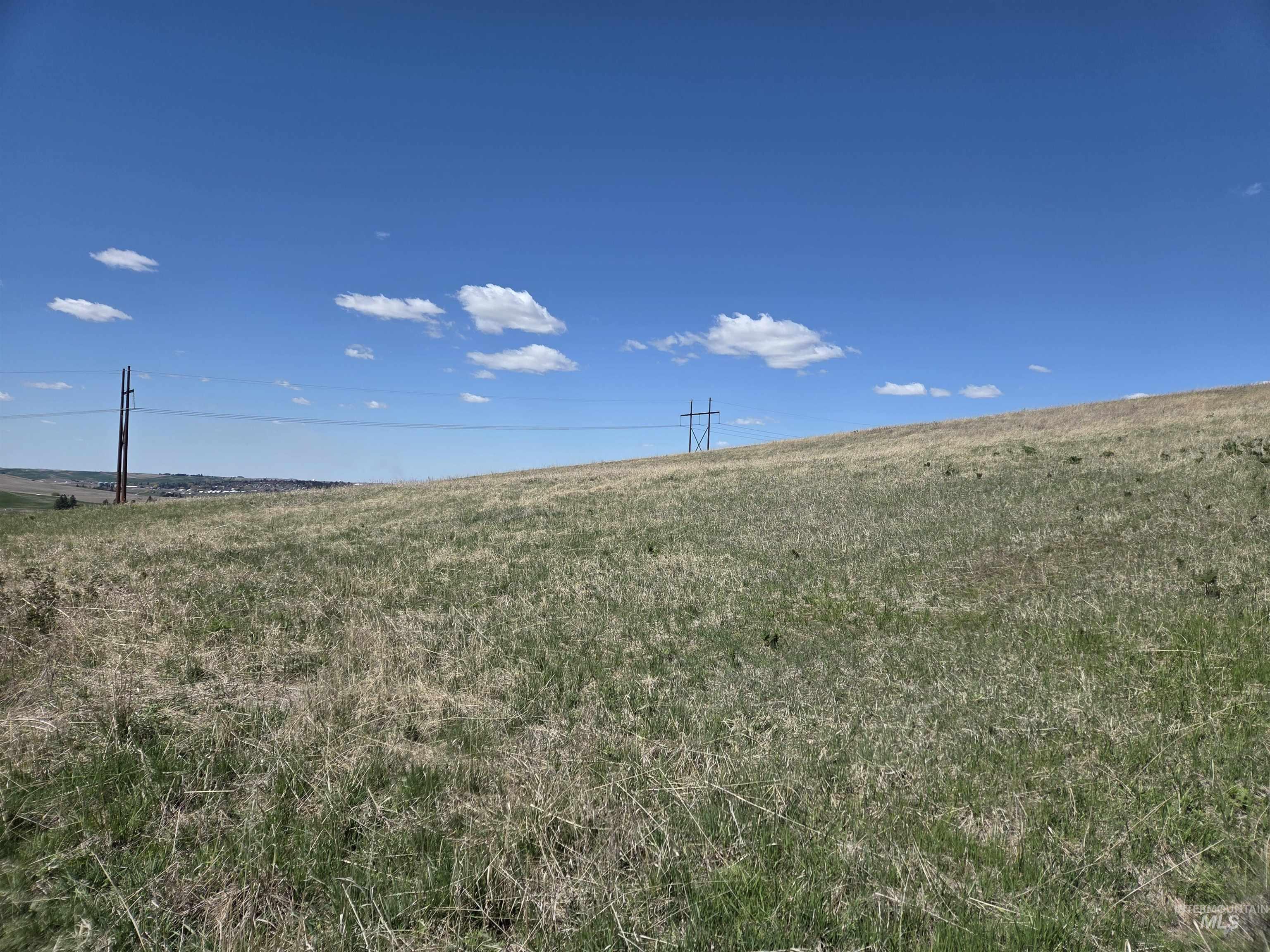 Tbd Tbd Lenville Road Moscow, ID 83843 - Photo 34 of 39