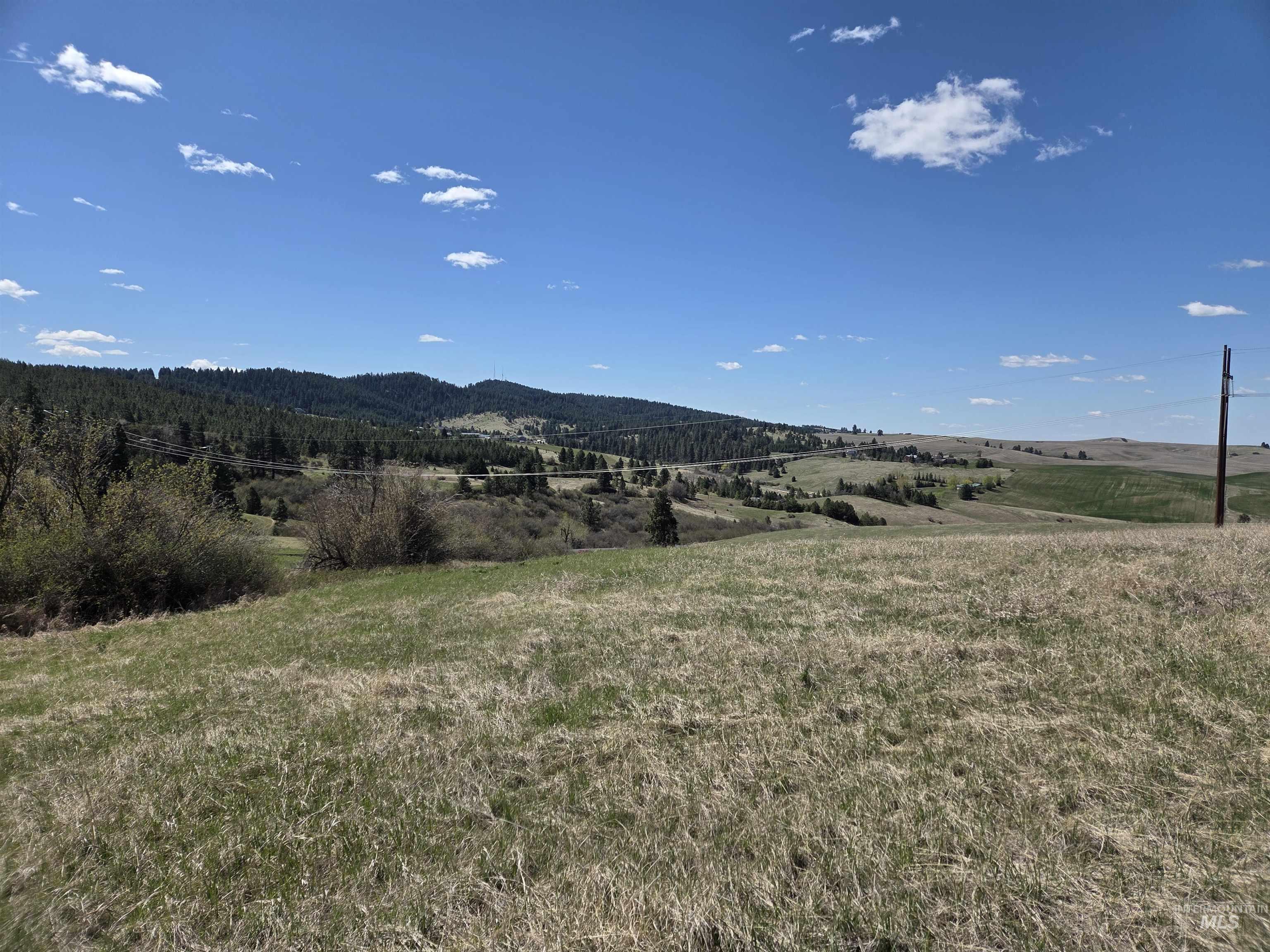 Tbd Tbd Lenville Road Moscow, ID 83843 - Photo 36 of 39