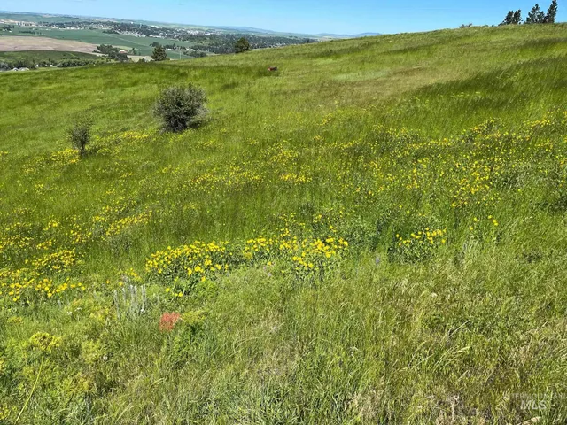 $500,000 | Tbd Tbd Lenville Road, Moscow, ID 83843