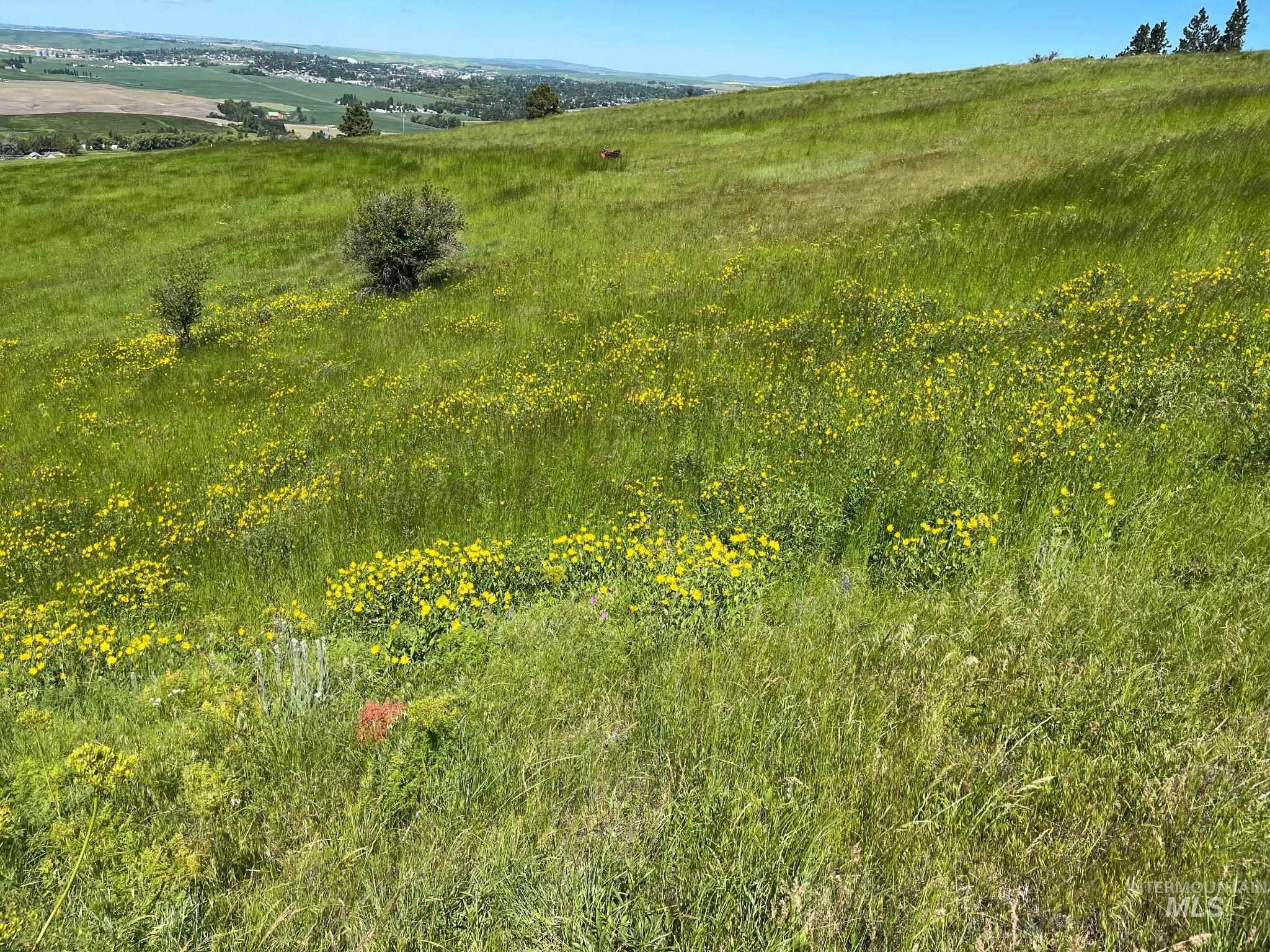 Tbd Tbd Lenville Road Moscow, ID 83843 - Photo 4 of 39