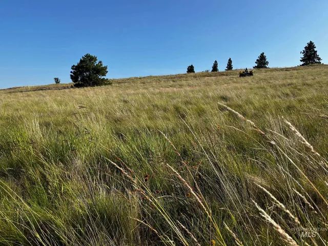 $500,000 | Tbd Tbd Lenville Road, Moscow, ID 83843