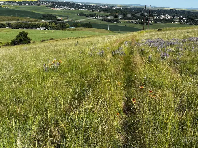 $500,000 | Tbd Tbd Lenville Road, Moscow, ID 83843