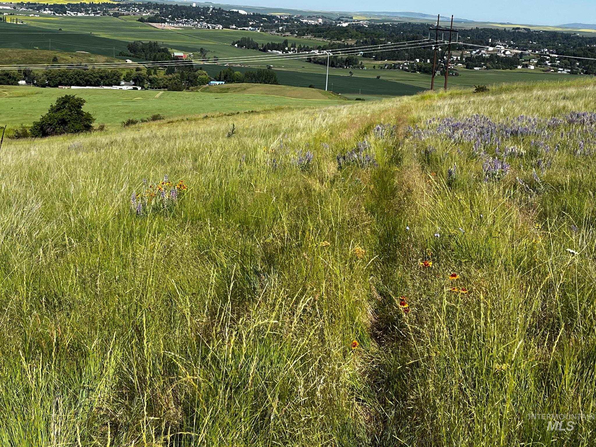 Tbd Tbd Lenville Road Moscow, ID 83843 - Photo 8 of 39