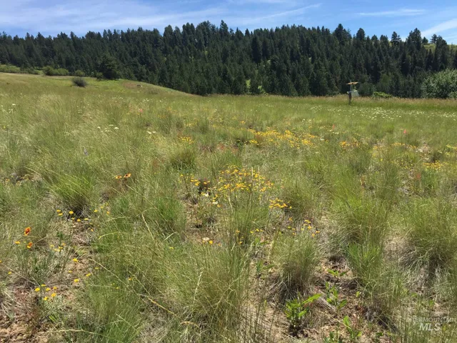 $500,000 | Tbd Tbd Lenville Road, Moscow, ID 83843