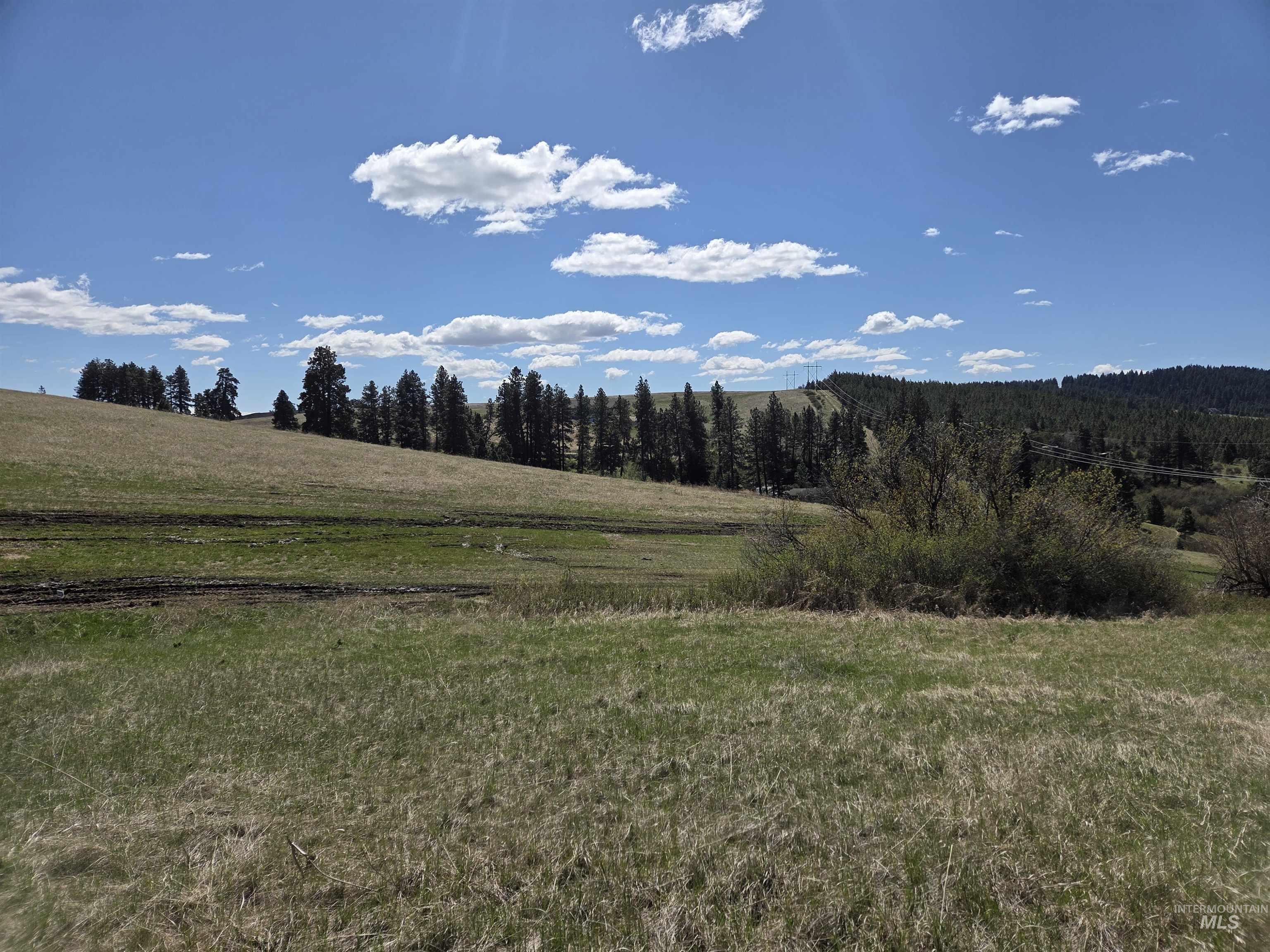 Tbd Tbd Lenville Road Moscow, ID 83843 - Photo 10 of 39