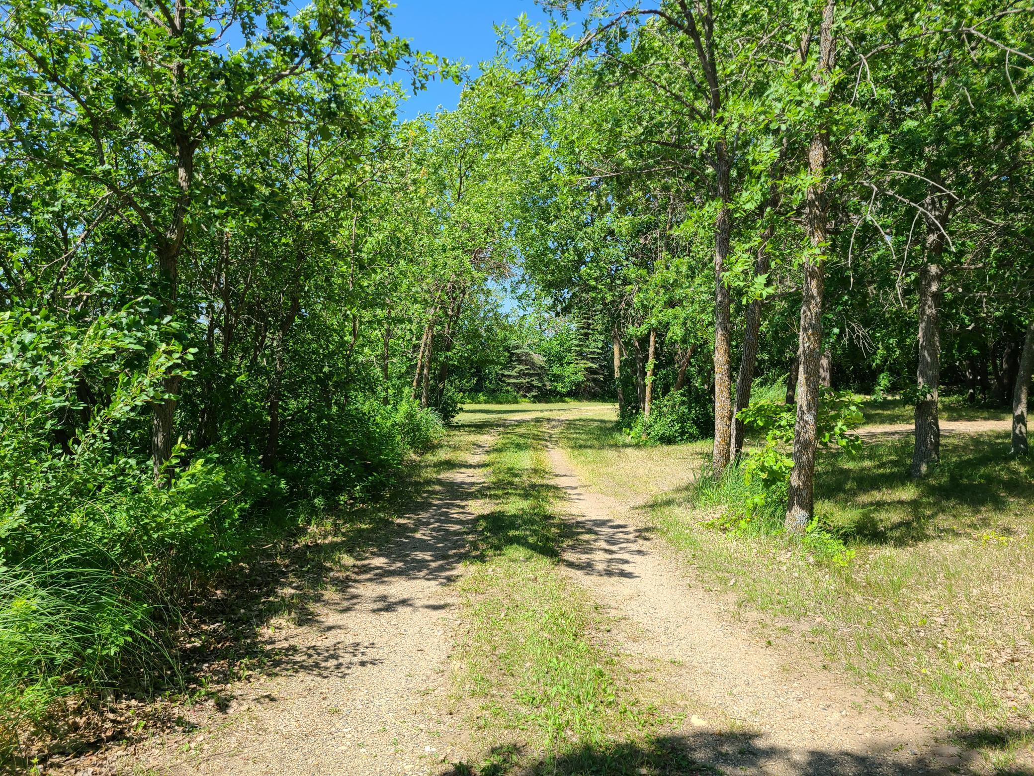 26373 Anna Lake Road Underwood, MN 56586 - Photo 2 of 39