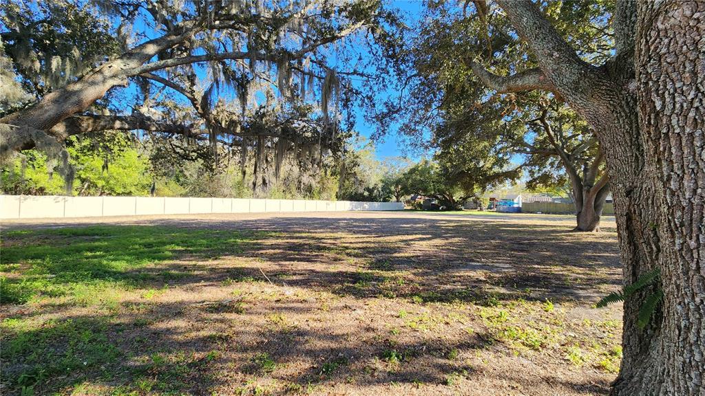 14921 Old Pointe Road Tampa, FL 33613 - Photo 28 of 32 a view of yard with tree