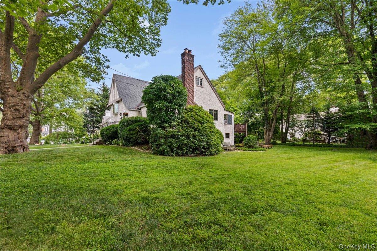 115 Coolidge Avenue Rye, NY 10580 - Photo 22 of 29 The spacious yard is a highlight for this home. Plenty of flat property for playing and entertaining.