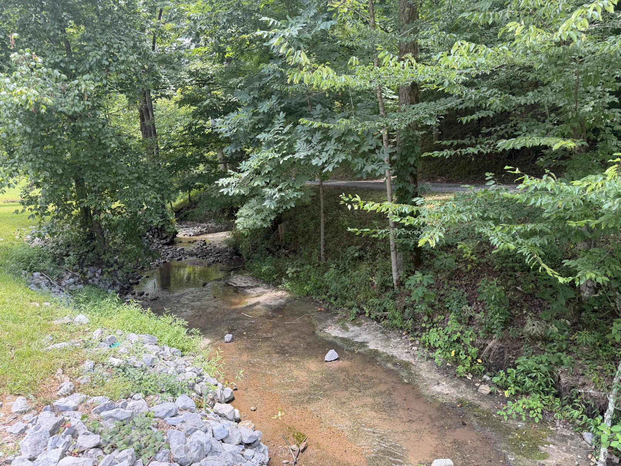 1505 Dark Hollow Road Lafayette, TN 37083 - Photo 2 of 4