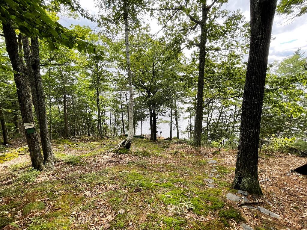 105 Thomas Road Monson, ME 04464 - Photo 8 of 30 IMG_0324