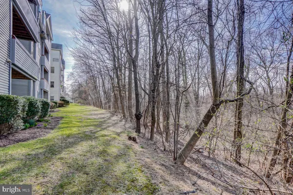 a view of a yard with plants and trees