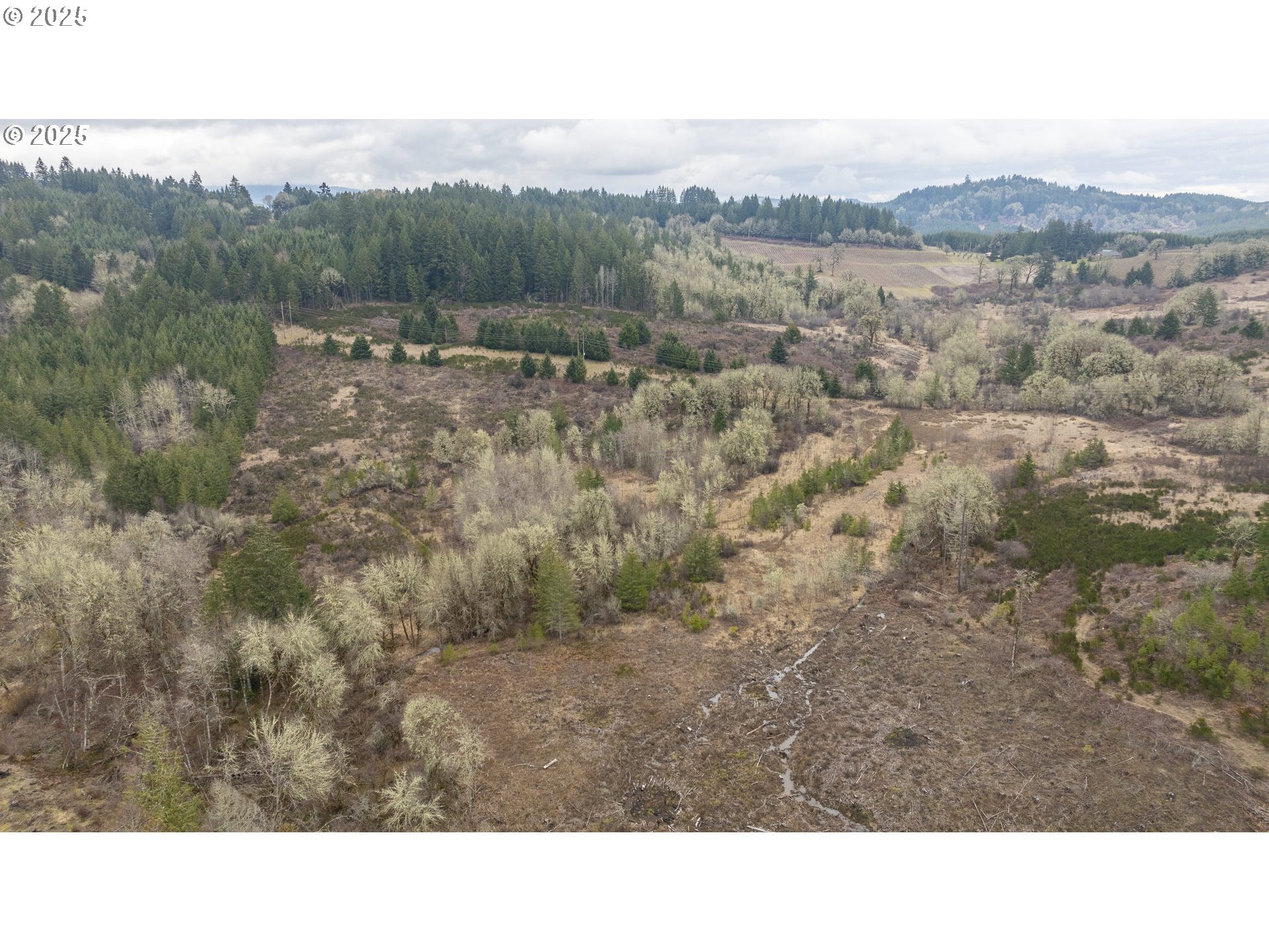 0 Northwest Panther Creek Road Yamhill, OR 97148 - Photo 14 of 28