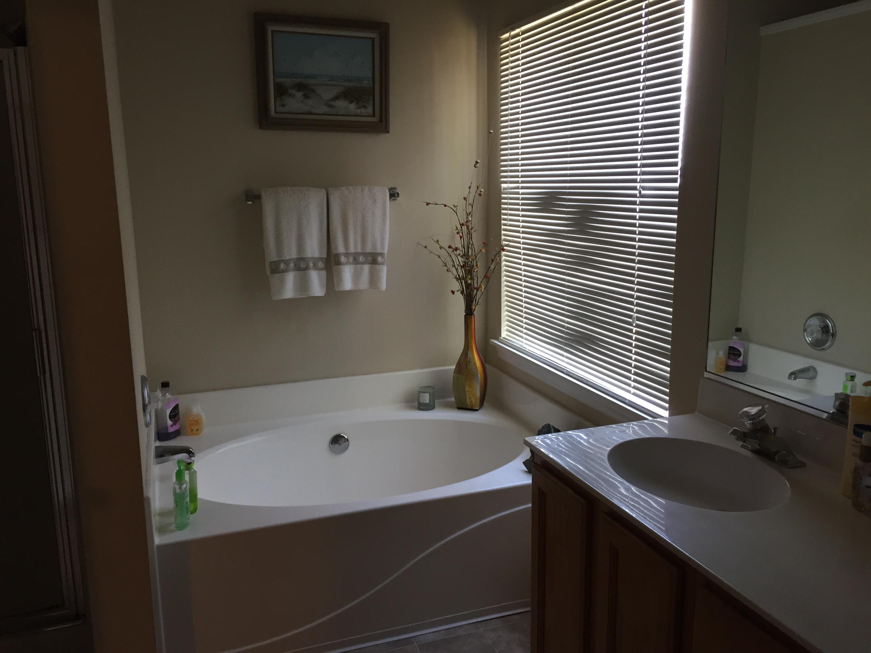 308 Rice Bay Drive Mount Pleasant, SC 29464 - Photo 12 of 15 Master BA w/ Tub and Separate Shower