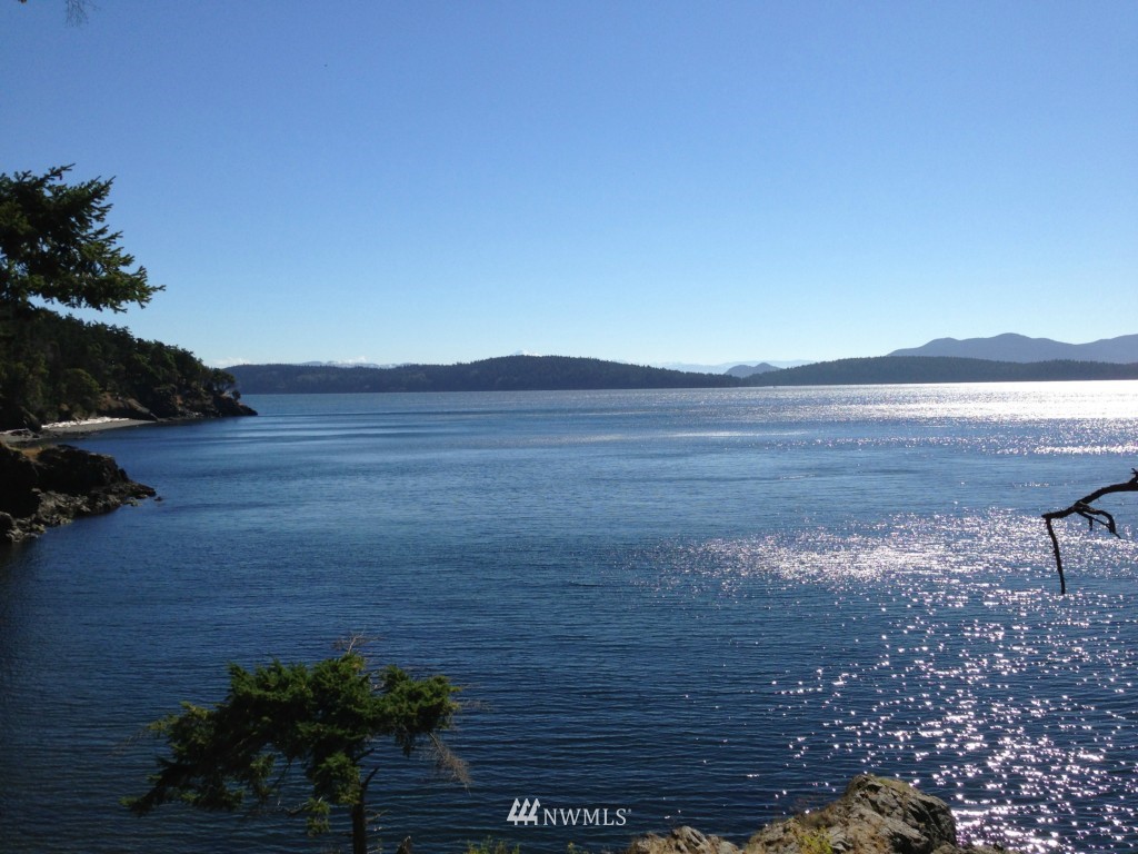 62 Rebe Road Orcas Island, WA 98280 - Photo 2 of 12 Gallery Image 2