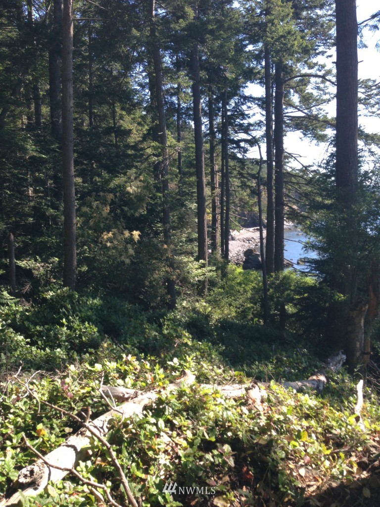 62 Rebe Road Orcas Island, WA 98280 - Photo 11 of 12 Gallery Image 11