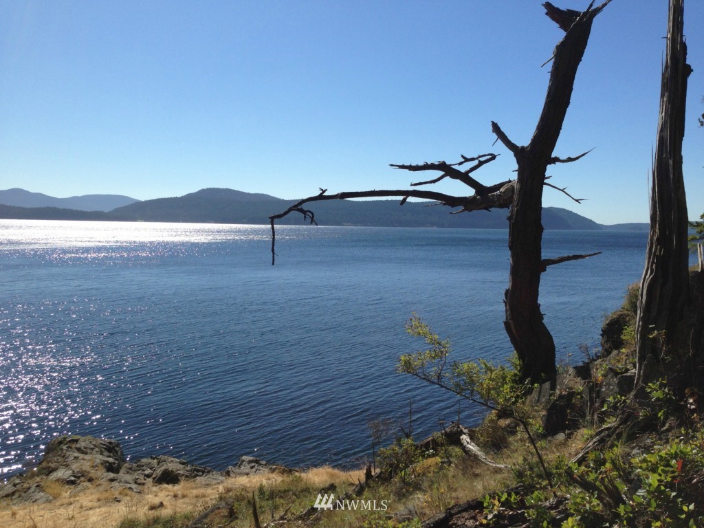 62 Rebe Road Orcas Island, WA 98280 - Photo 3 of 12 Gallery Image 3