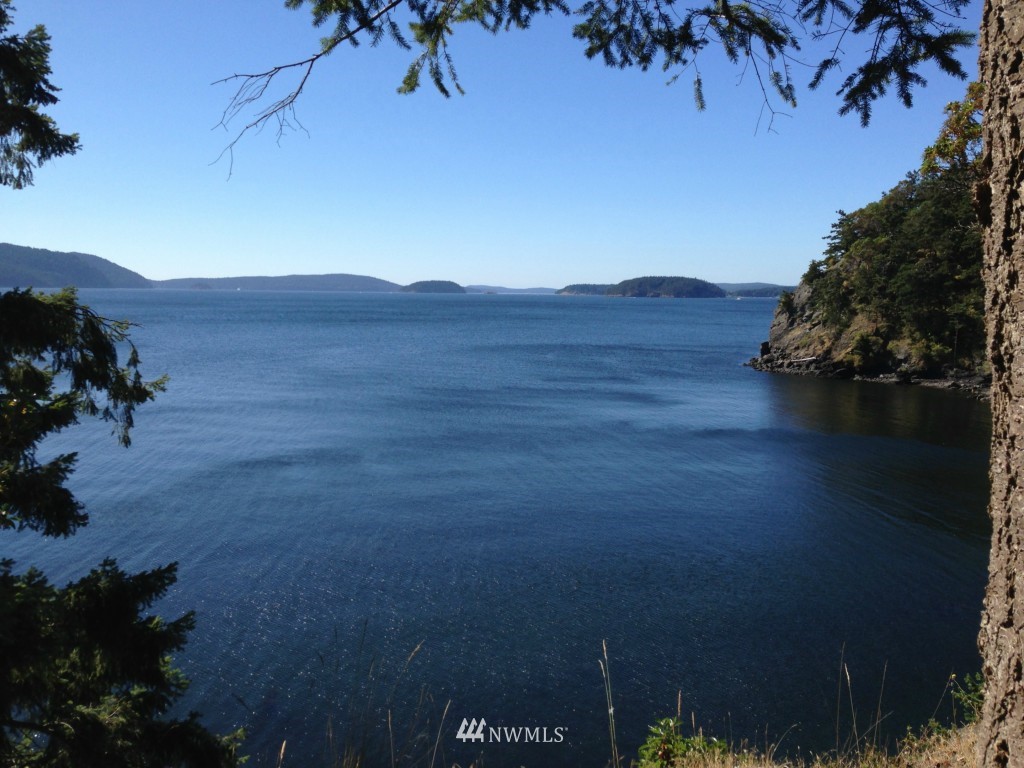 62 Rebe Road Orcas Island, WA 98280 - Photo 6 of 12 Gallery Image 6