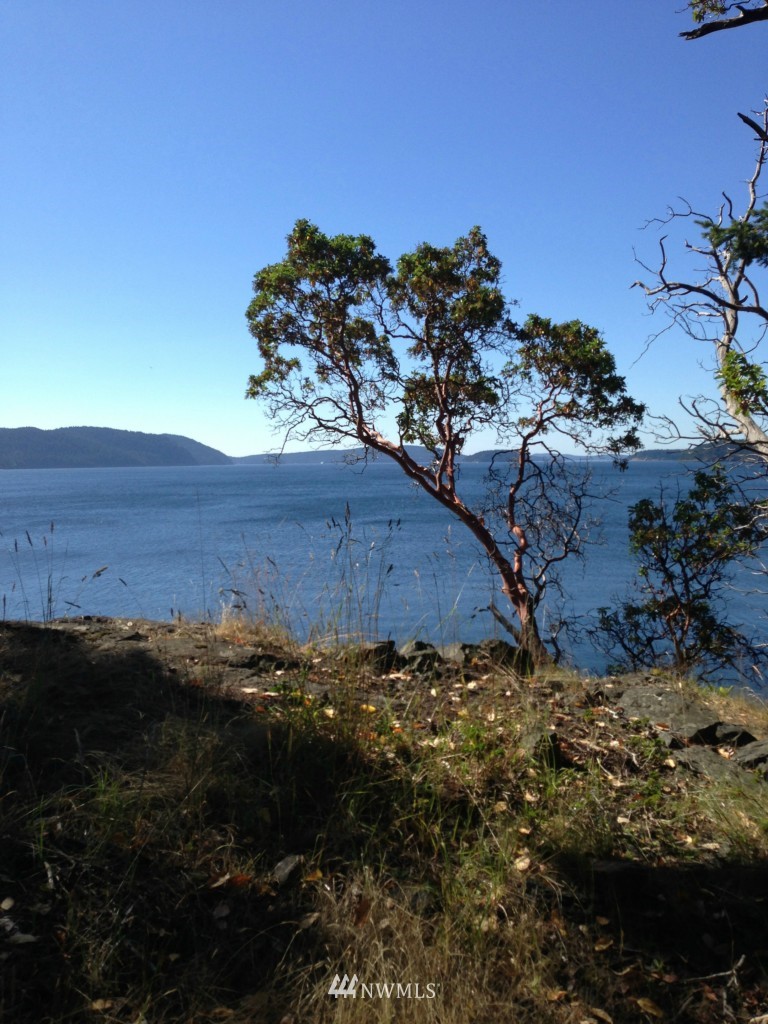 62 Rebe Road Orcas Island, WA 98280 - Photo 7 of 12 Gallery Image 7