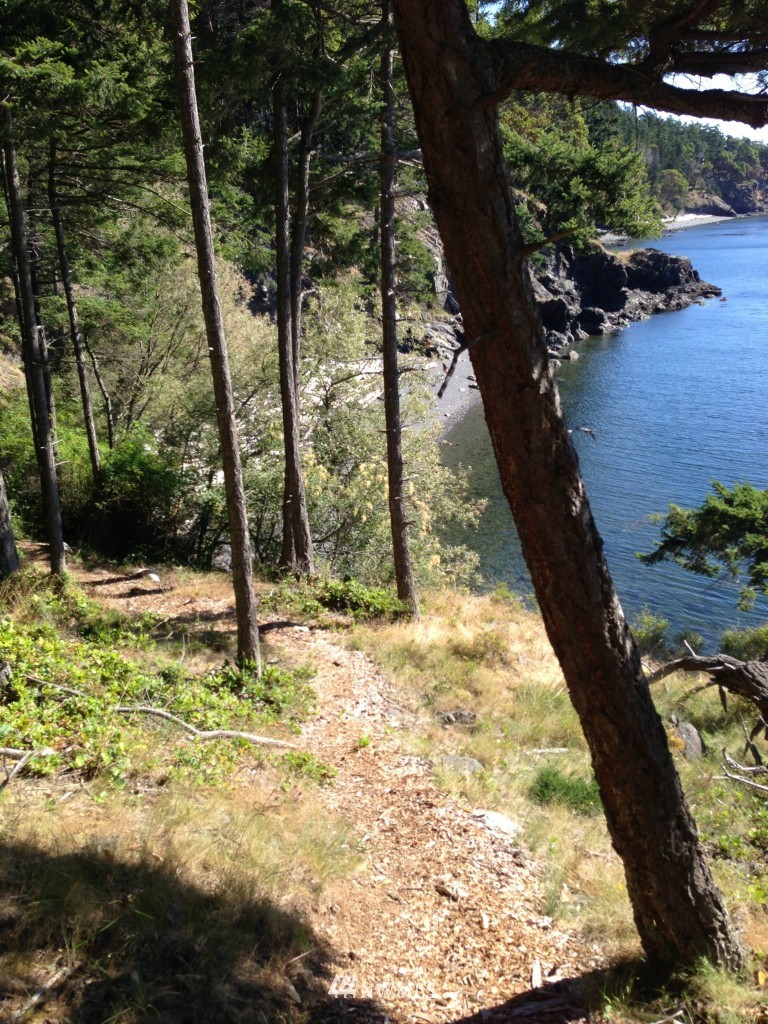 62 Rebe Road Orcas Island, WA 98280 - Photo 10 of 12 Gallery Image 10