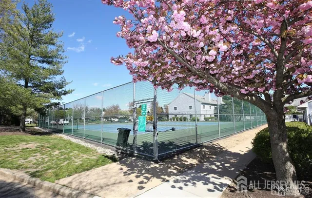 a view of a backyard